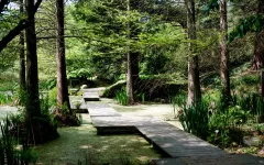Teich im Botanischen Garten