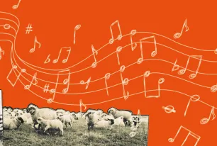 Key Visual Campusfeier