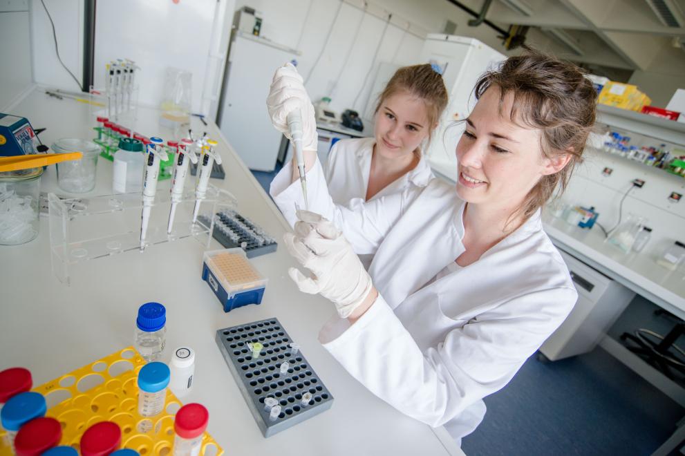 Two researchers in white coats carry out an experiment in the laboratory.